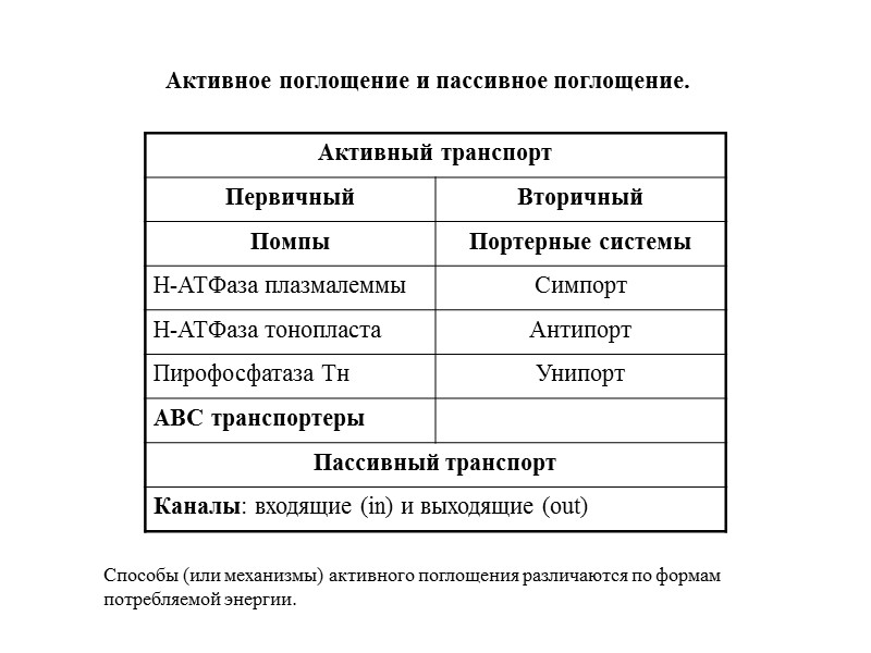 Активное поглощение и пассивное поглощение.  Способы (или механизмы) активного поглощения различаются по формам